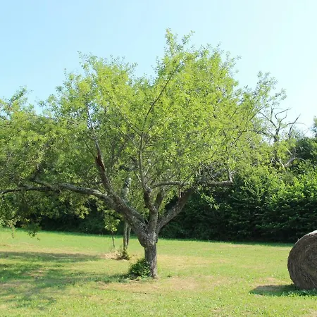 Lantgård La Valle De' Medici